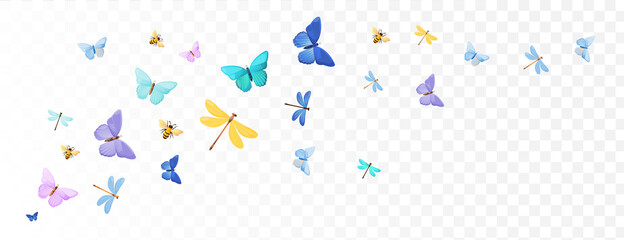Bright colorful spring summer butterflies.