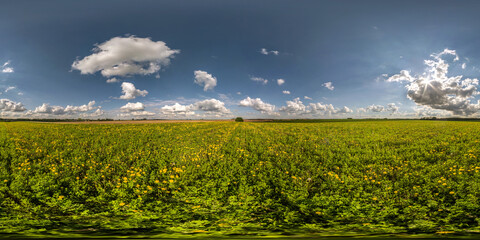 full seamless spherical hdri panorama 360 degrees angle view on among dandelion flower field in...