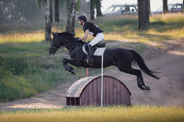 close portrait of handsome rider man jumping over obstacle on black stallion horse during eventing cross country competition in summer