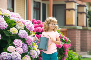 Cute child boy watering plants in the garden at summer sunny day.