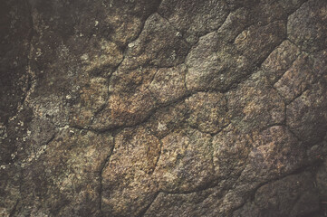 Stone brown background. Texture background muddy color, brown color background for social media and website.