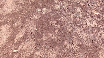 The ground is dry and cracking