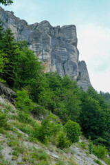 rock in the mountains from beneath across green trees close-up. Pietra di Bismantova, Italy. Hiking, trekking, camping, adventure concept