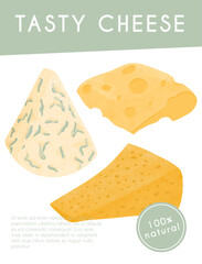 Swiss or French cheese vector flat poster concept. Gouda, Parmesan, Brie, Roquefort or Maasdam.