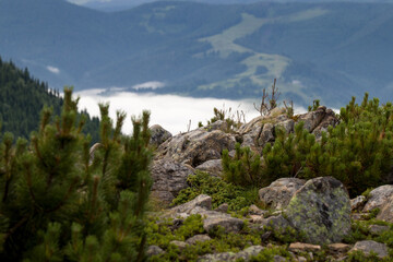Fototapeta premium mountain tops and fog at the bottom