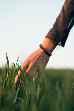 Woman's hand touching the green grass in the field on a sunny day