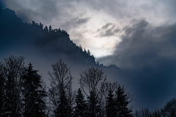 フュッセンの森光と雲