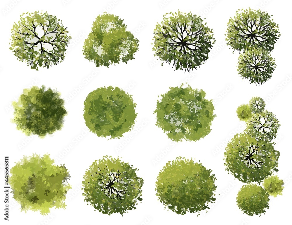 Wall mural vector tree top view isolated on white background for landscape plan and architecture layout drawing