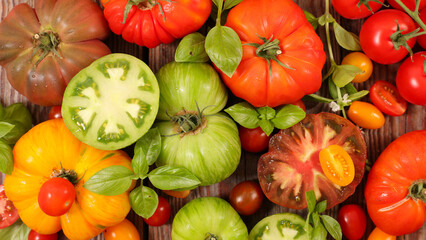 various of colorful tomatoes and basil