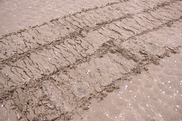 sand texture on the beach