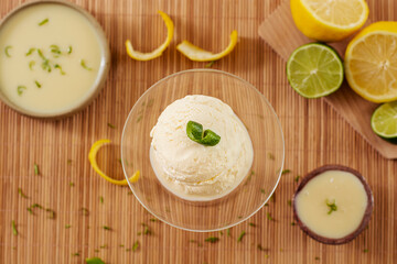 lemon ice cream in a bowl with ingredients in the decoration
