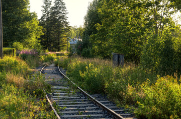 Old railway tracks through meadow and forest