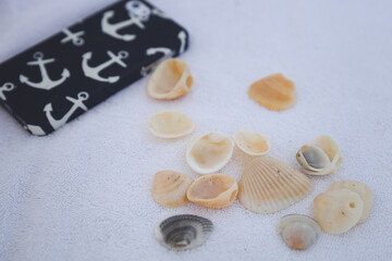 Seashells on a white towel and a smartphone in the background. Vacation concept