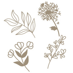 Set of plant floral and leaf pattern icon. Art floral elements. Use for t-shirt prints, logos, cosmetics
