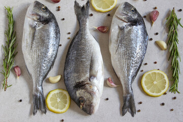 Two fresh raw sea organic dorado or sea bream with spices and lemon on a grey background
