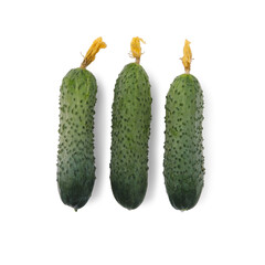 Three green cucumbers with pimples and withered yellow flowers in a flat lay isolated on white with a slight soft shadow.