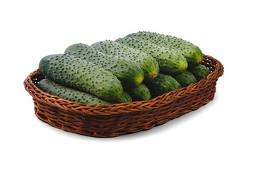 Small fresh green cucumbers are stacked evenly in a flat wicker basket in a dark shade, isolated on a clean white background with a shadow.