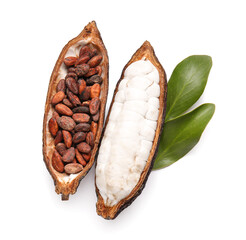 Fresh cocoa fruit and beans on white background