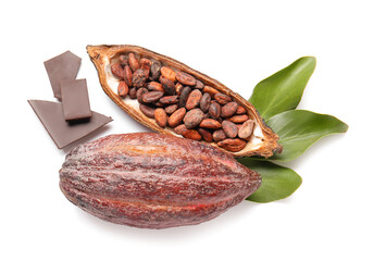 Fresh cocoa fruit, beans and chocolate on white background