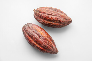 Fresh cocoa fruits on light background