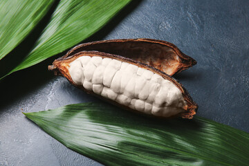 Half of fresh cocoa fruit and green leaves on dark background