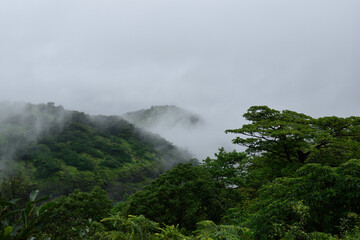 Fototapeta na wymiar Mountain range in monsoon Sahyadri India