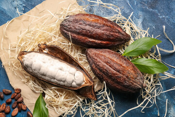 Composition with fresh cocoa fruits on color background