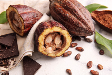 Fresh cocoa fruits, beans and chocolate on light background