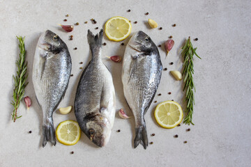 Two fresh raw sea organic dorado or sea bream with spices and lemon on a grey background