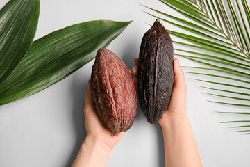 Woman holding fresh cocoa fruits on grey background