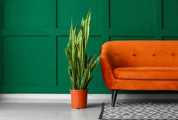 Tuinposter Houseplant and stylish sofa near color wall © Pixel-Shot