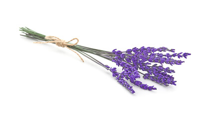 Fototapeta premium Beautiful lavender flowers on white background