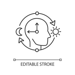 Circadian rhythms linear icon. Internal daily clock. Optimize cognitive function for daytime. Thin line customizable illustration. Contour symbol. Vector isolated outline drawing. Editable stroke