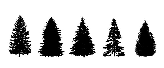 Tree Set. Pine Evergreen Trees Silhouette. Vector Black Illustration. Forest and Park Elements. Winter Forest Set. Isolated on White Background. Nature collection.