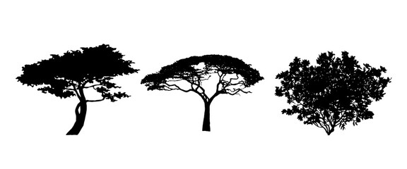 Tree Set. Different Tree Silhouette. Isolated on White Background. Vector Illustration. Forest and Park Elements. Deciduous trees. Nature collection. Black Illustration. Desert Tree