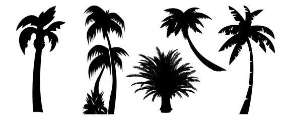 Fototapeta na wymiar Palm Set. Exotic Trees. Palm Silhouette. Isolated on White Background. Traveal Holiday Set. Vector Illustration. Tropical Mood. Nature collection. Black Illustration. Happy Holiday. 