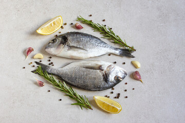 Two fresh raw sea organic dorado or sea bream with spices and lemon on a grey background