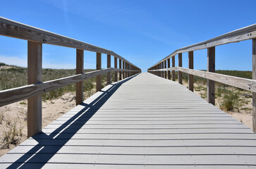 Fototapeta na wymiar Wooden Path Way Over Sand Dunes on Cape Cod