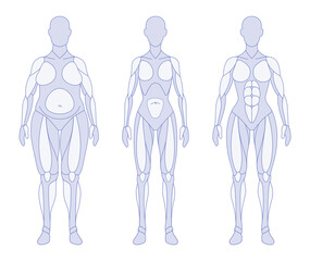 Female body types anatomy front