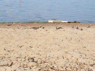 sea beach, sea, sand, sun
