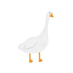 Cute goose illustration isolated on white background. Cartoon, hand drawn style with light texture. Clip art.