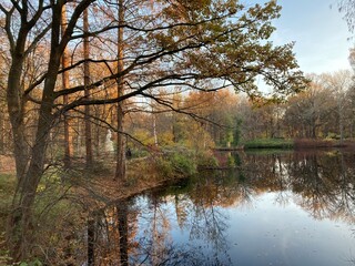 Herbst im Park in Berlin Tiergarten