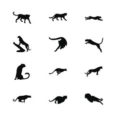 Cheetah animal icon design various poses