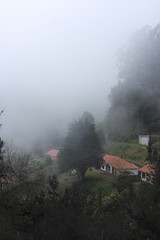 houses with red roof in the magnificent misty foggy mountain forest of Madeira