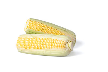Two realistic looking corn ears with leafs isolated white background