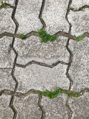 Obraz premium paving slabs