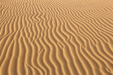 Sand desert ripples background