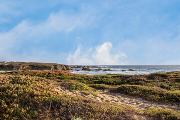 Path out to beach through the succulents on the cliffs with footprints and ocean in background with...