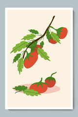 Set of Fresh Tomatoes on branch. Hand Drawn Colorful Doodle Tomatoes with Leaves. Simple Flat Vegetable.