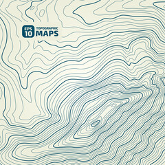 Fototapeta na wymiar The stylized height of the topographic map contour in lines and contours. The concept map of a conditional geography scheme and the terrain path. Isolated Object. Design material. Vector illustration.